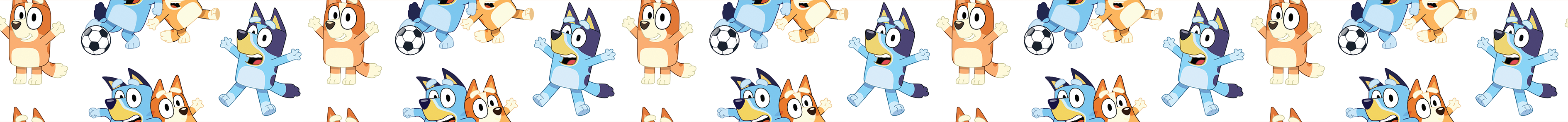 Nasogastric Tube Tape