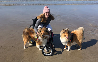 Women on wheelchair with 2 dogs on the beach