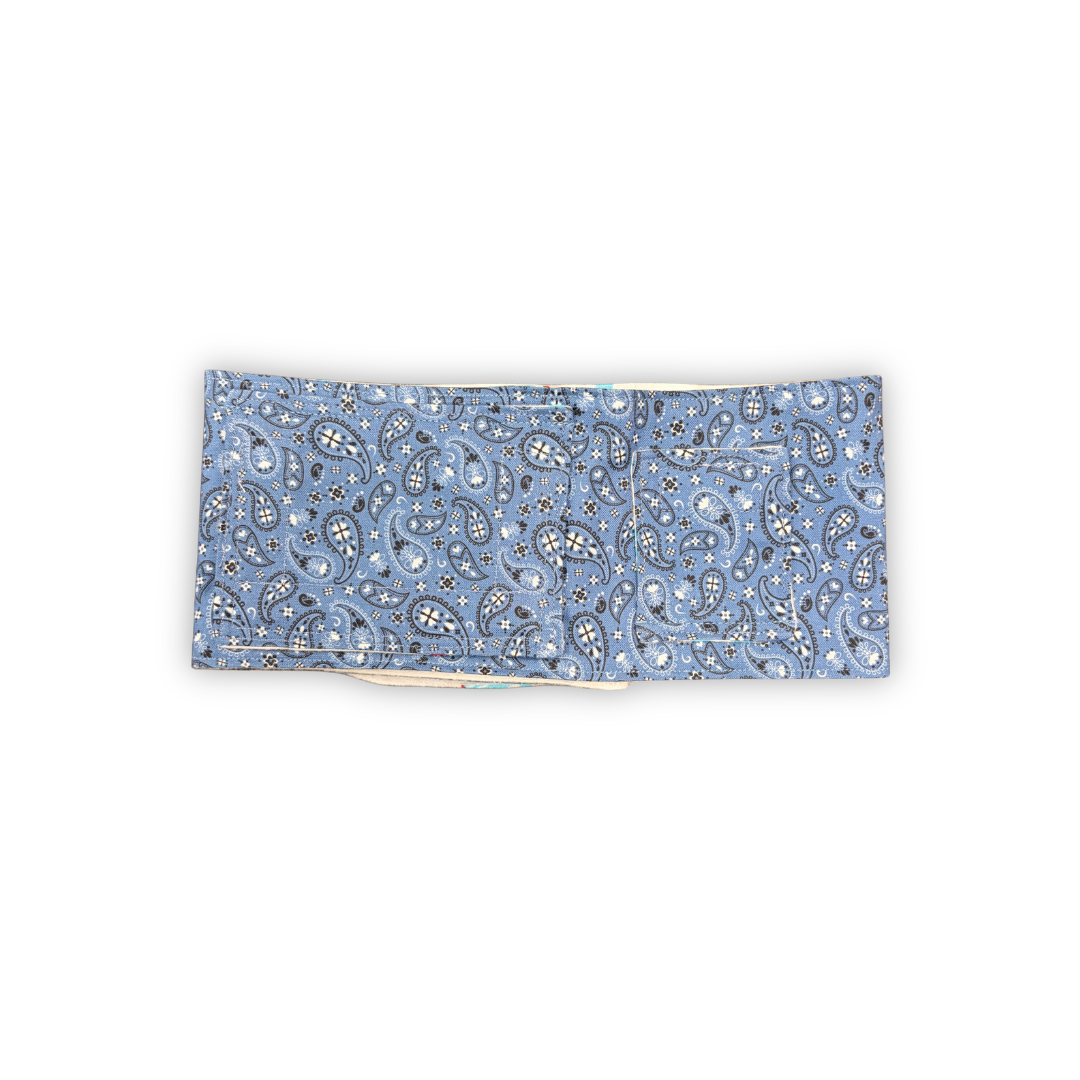 Blue Paisley
