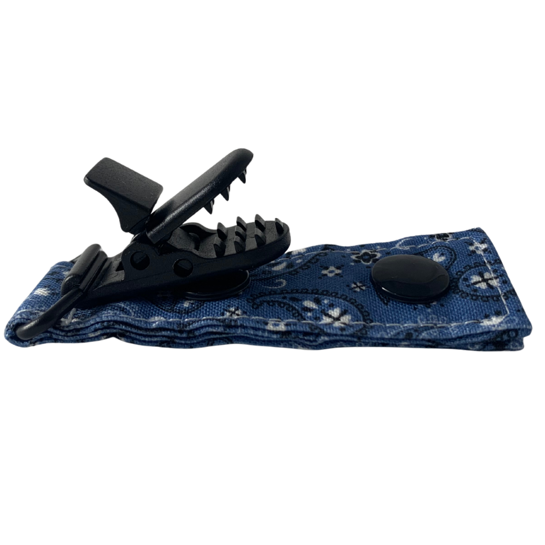 Blue Paisley